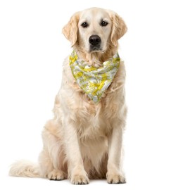 Ambesonne Spring Dog Bandana, Summer Mimosa and Birds Art, 22" X 22", Yellow Earth Yellow