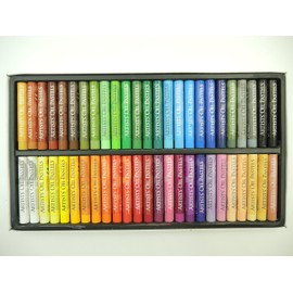 ARTIST'S OIL PASTELS Art Supplies Oil Pastel Set of 50 in 48 Colors, For the World of Pastels