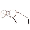 Small Metal Round Reading Glasses for Women Men Classic Vintage