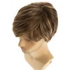 Dsimeig Men's Brown Blonde Wig Short Layer Straight Cosplay Synthetic