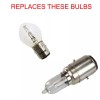 GENSSI Headlight Bulb 12V 35/35W Xenon Quartz Halogen Blue Fit