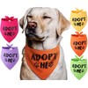 Pawskido Adopt Me - Bandana para perros, Paquete de 5