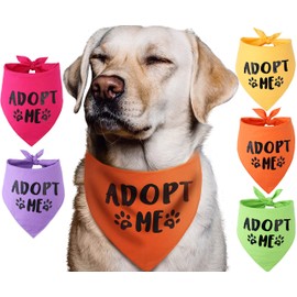 Pawskido Adopt Me - Bandana para perros, Paquete de 5
