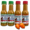 Chiletico Típica Sauce – 2 Mild + 2 Hot –