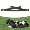HL Q6PX Cow Anti Splitting Belt Nylon Sheep Anti Splitting
