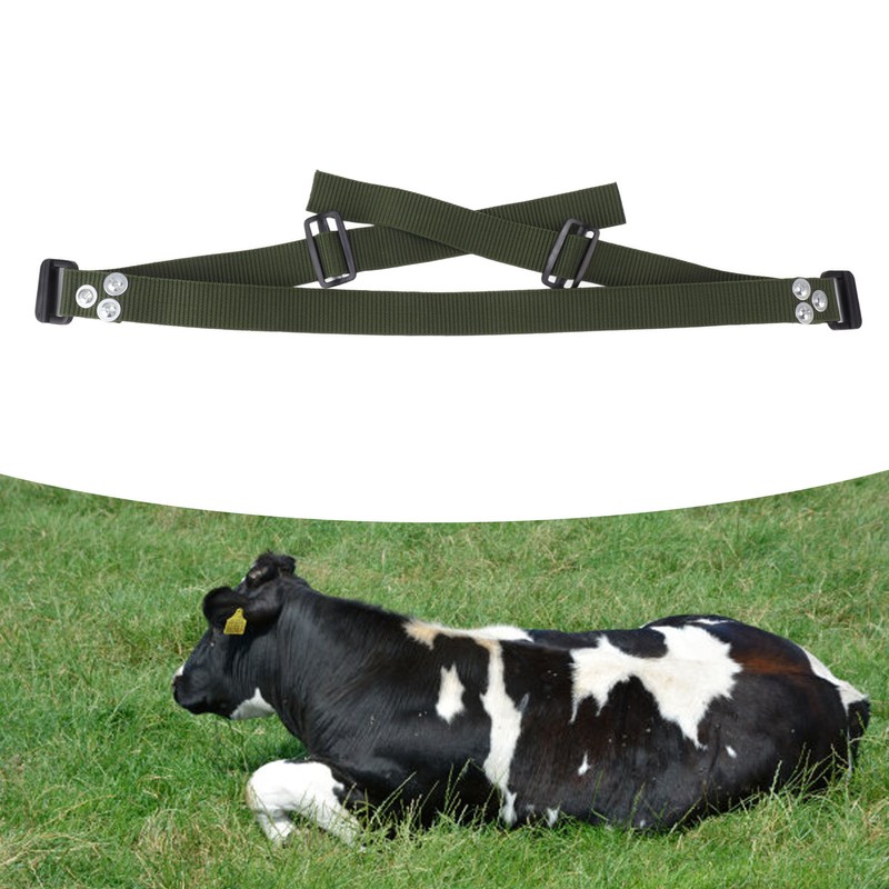 HL Q6PX Cow Anti Splitting Belt Nylon Sheep Anti Splitting