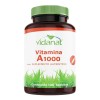 Suplemento Cápsulas Vidanat Vitamina Minerales Vitaminas Frasco 100g