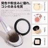 EDTRE Makeup Brushes Set of 11 Popular Cute Makeup Brushes