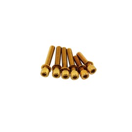 POWERJAMES 6pcs Gold Transmission covers bolt kit for Harley 06-24 Softail Dyna Touring