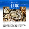 【特選粉末】牡蠣エキスパウダー 30g 〜瀬戸内海産 むき身生牡蠣使用〜＜30日分＞(牡蠣 粉末 無添加 国産 カキ パウダー カキエキス