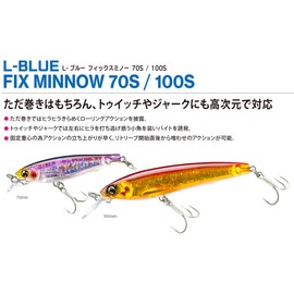DUEL F1232-TM Lure, Blue, Fixed Minnow, 3.9 inches (100 mm), Sinking [Fishing Gear, Sea Fishing, Sea Bass]