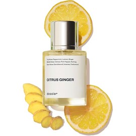 Dossier - Citrus Ginger - Eau de Parfum - Inspired By Bleu De Cha nel Fragrance - Perfume Luxury - Pure Infused - For Men - Fragrance 1,7 Fl 0z (50ml)