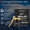 Shilajit +