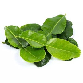 Fresh Organic Fresh Kaffir Lime Leaves ( Thai Lime Leaves) 1 Oz.