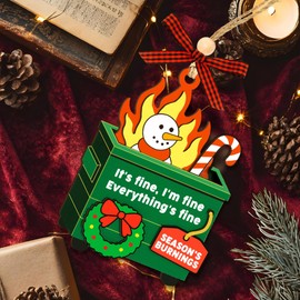 Woodamore Dumpster Fire Ornament 2025 - Its Fine Im Fine Everythings Fine Ornament for Xmas Tree Decorations, Funny Work Christmas Ornaments for Gift Exchange Ideas, Hilarious Dumpster Fire Gifts