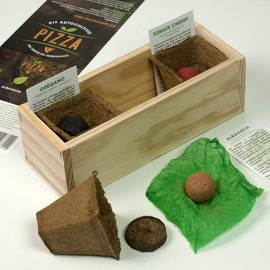 Resetea | Self-Healing Set | Pizza | Oregano, Basil and Tomato Cherry