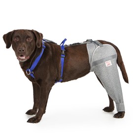 LufeLux Dog Leg Sleeve for Stop Licking & Post-Surgery Recovery | Protects Injured Rear Legs from Excessive Licking & Scratching | Cone Alternative with Breathable Fabric | Easy to Use (Grey, Large)