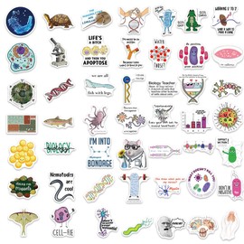 100Pcs Mental Health Matters Stickers for Laptop Water Bottles, Therapist Office Decor, Counselor Office Must Haves, Positive Quote Decals for Mental Health Awareness (Mental Health)