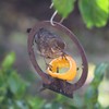 METALBIRD - Hanging Bird Feeder - Outdoor Tree Ornaments in