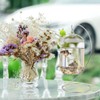 3PCS Ornament Display Stand,Glass Globe Silver Iron Wire Stand Hanging