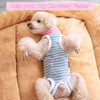 Dog Recovery Suit After Surgery, Surgery Recovery Jumpsuit for Female,