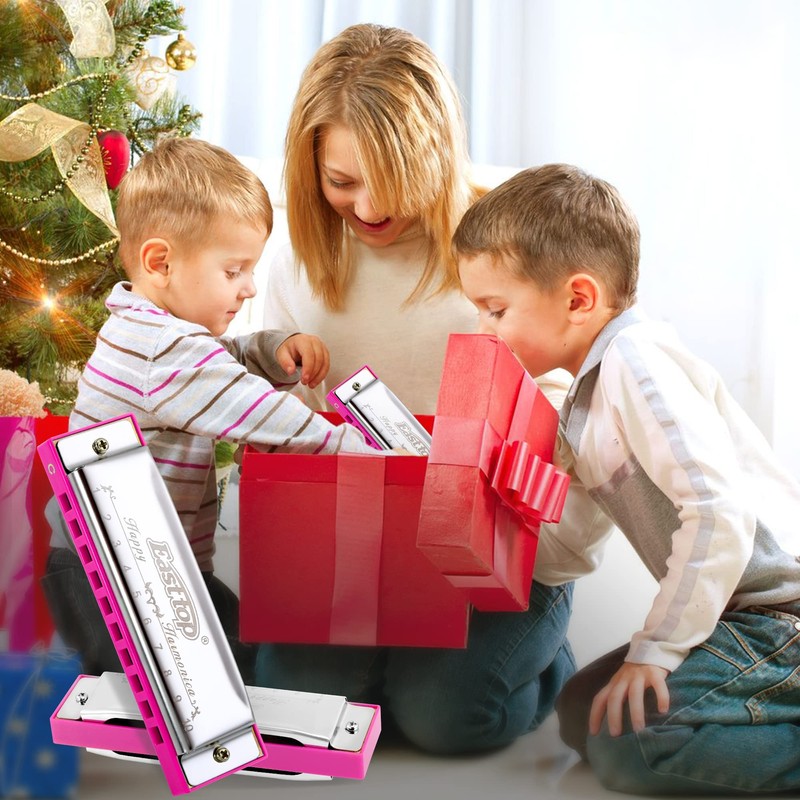 East top Harmonica Blues Harmonica Beginner C Tone 10 Holes