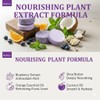 Blueberry Fields Shampoo & Conditioner Bundle, Antioxidant-Rich Hair Care Bundle