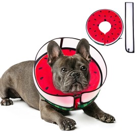 Inflatable Dog Cone Collar with Enhanced Anti-Licking, Soft Neck Donut for Dogs Cats, Recovery Pet Cone Collar After Surgery for Large Medium Small Dogs… (Watermelon, Small)