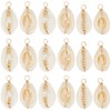 Beebeecraft 1 Box 30Pcs Natural Shell Charms Bulk Summer Ocean