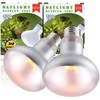100W 2-Pack Reptile Basking Heat Bulb - UVA Daylight Heat