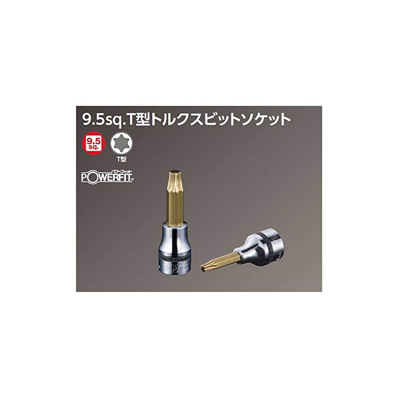 京都機械工具(KTC) ネプロス 9.5mm (3/8インチ) トルクスソケット NQ6T45