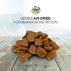 Addiction Meaty Bites - Hypoallergenic Dog Treats - Made in