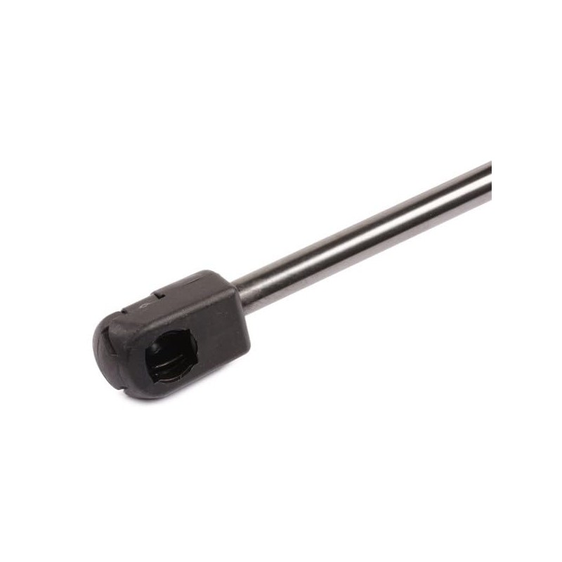 RIDEX Tailgate Damper 219G0611 Countryman (R60) 495 mm