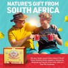 Caffeine Free Tea Organic Rooibos Tea Bags 200 - Naturally