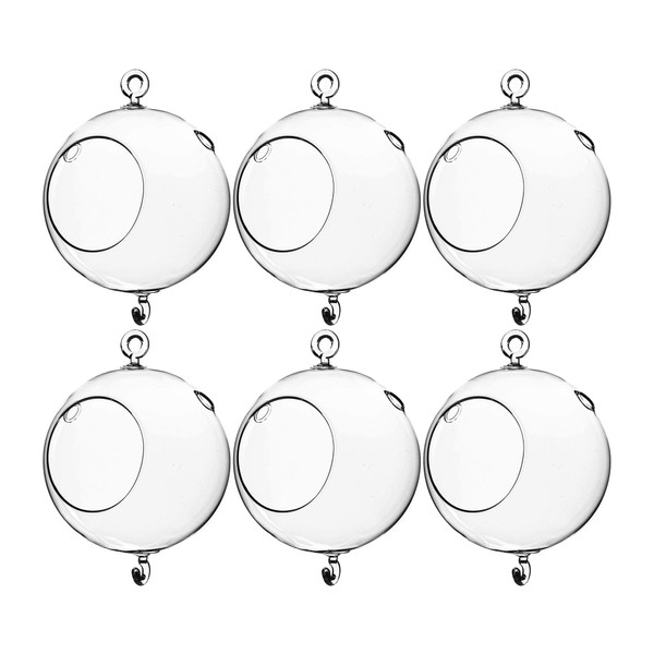 WGV Hanging Terrarium Globe, Width 5", Height 7", Double Hook,