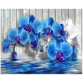 DCIDBEI Round 5D Diamond Painting Orchid 50 x 40 cm Diamond Painting Pictures Adult Crystal Rhinestone Embroidery Diamond Painting by Numbers Orchids Zen Pictures Cross Stitch Embroidery