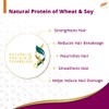 Himalaya Herbals Anti-Hair Fall Shampoo (Prevents Hair Breakage) All Hair