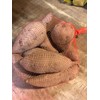 Louisiana Sweet Potatoes (8)