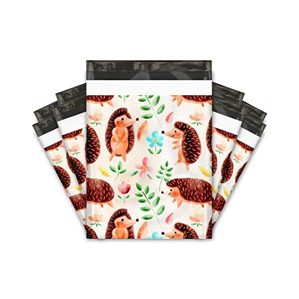 10x13 (100) Hedgehogs Designer Poly Mailers Shipping Envelopes Premium Printed