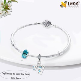 LNQOBU 925 Sterling Silver Charms for Bracelets and Turtle Charm Music Charms Beads Jewellery Gift for Women Girls, Sterling Silver, Cubic Zirconia