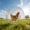 SORENCUT 17.7 Inch Metal Chicken Ball Cage, Large Rolling Chicken