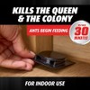 Ortho Orthene Ant Bait - Effective Indoor Ant Killer