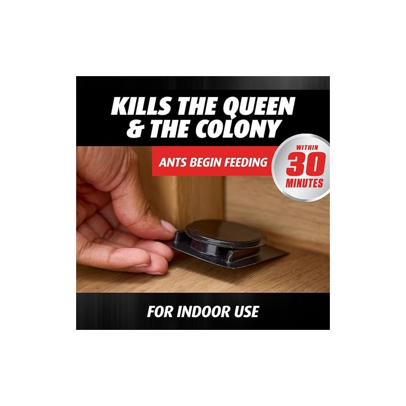 Ortho Orthene Ant Bait - Effective Indoor Ant Killer