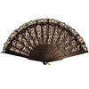 Black Lace Hand Fan Spanish Fancy Dress Accessory