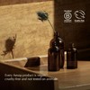 Aesop Body Care 16.67 Oz Geranium Leaf Body Balm For