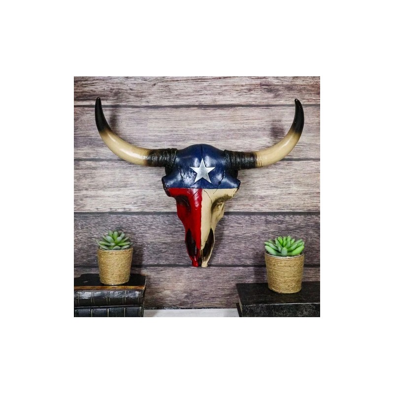 Southwest Longhorn Cow Steer Skull With Texas Lone Star State