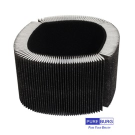 PUREBURG Replacement Filter Compatible With Dupray Bloom Air Purifier AIR030W, H13 True HEPA and Activated Carbon 2 in 1, Pack of 2