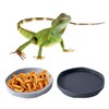 COMSUN 4 Pack Small Reptile Food Dish Bowl, Plastic Worm