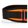 Schiek s-2004orl 4.75 in. Original Nylon belt44; Orange - Large