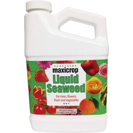 Maxicrop Original Liquid Seaweed, 1 Gallon (Packaging May Vary)